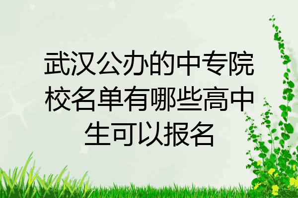 武汉公办的中专院校名单有哪些高中生可以报名
