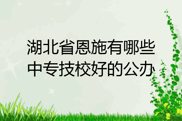 湖北省恩施有哪些中专技校好的公办