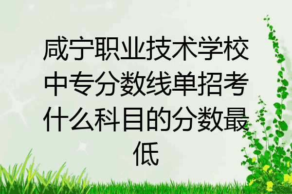咸宁职业技术学校中专分数线单招考什么科目的分数最低