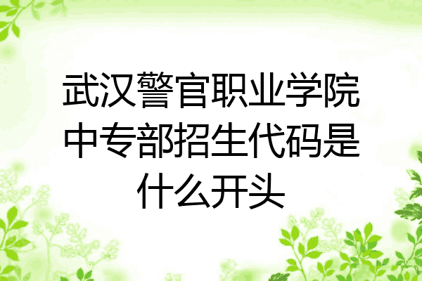 武汉警官职业学院中专部招生代码是什么开头