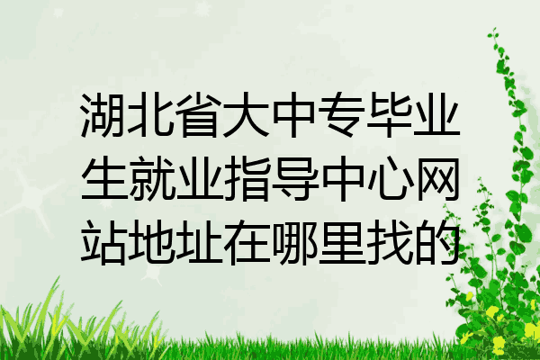 湖北省大中专毕业生就业指导中心网站地址在哪里找的