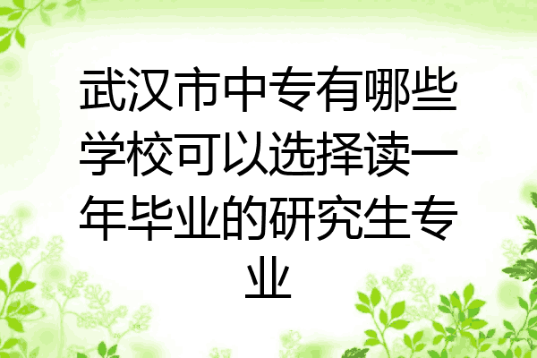 武汉市中专有哪些学校可以选择读一年毕业的研究生专业