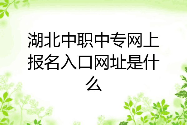 湖北中职中专网上报名入口网址是什么