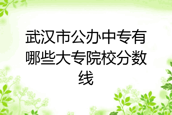 武汉市公办中专有哪些大专院校分数线