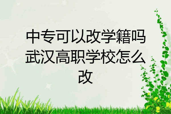 中专可以改学籍吗武汉高职学校怎么改