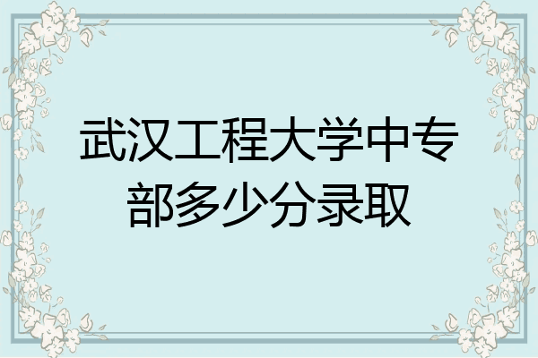 武汉工程大学中专部多少分录取