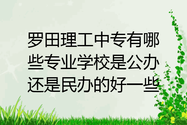 罗田理工中专有哪些专业学校是公办还是民办的好一些