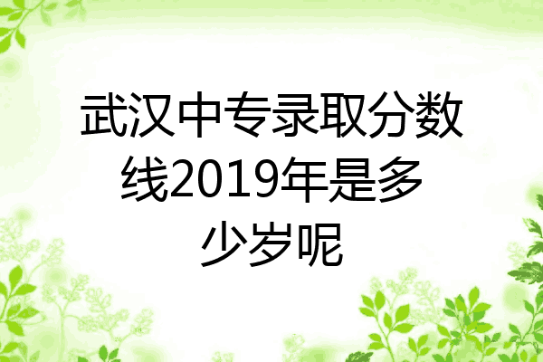 武汉中专录取分数线2019年是多少岁呢