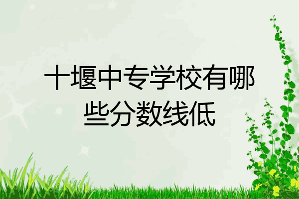 十堰中专学校有哪些分数线低