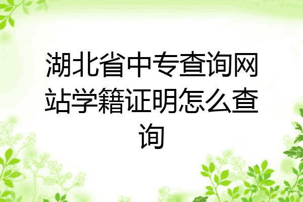 湖北省中专查询网站学籍证明怎么查询