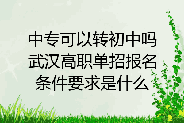 中专可以转初中吗武汉高职单招报名条件要求是什么