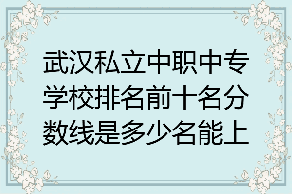 武汉私立中职中专学校排名前十名分数线是多少名能上