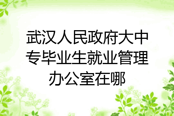 武汉人民政府大中专毕业生就业管理办公室在哪