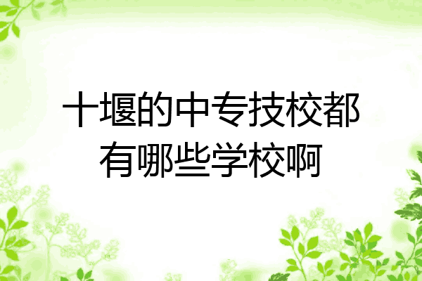 十堰的中专技校都有哪些学校啊