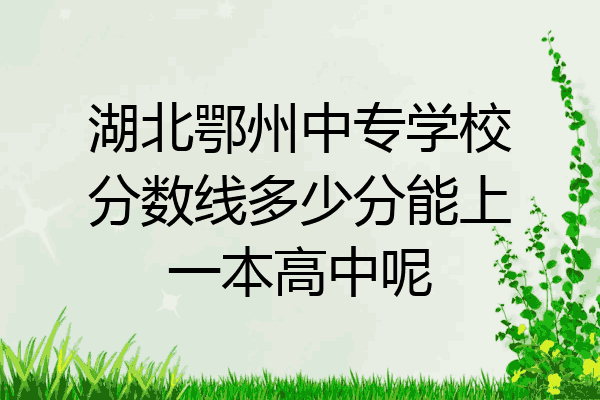 湖北鄂州中专学校分数线多少分能上一本高中呢