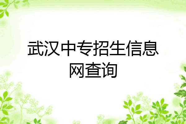武汉中专招生信息网查询