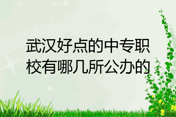 武汉好点的中专职校有哪几所公办的