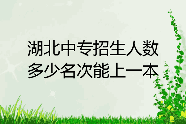 湖北中专招生人数多少名次能上一本