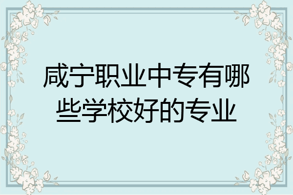咸宁职业中专有哪些学校好的专业
