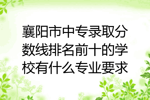 襄阳市中专录取分数线排名前十的学校有什么专业要求