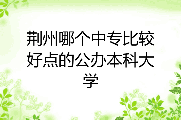 荆州哪个中专比较好点的公办本科大学