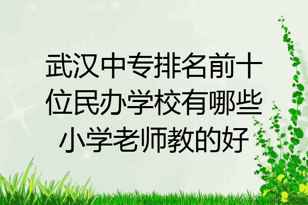 武汉中专排名前十位民办学校有哪些小学老师教的好