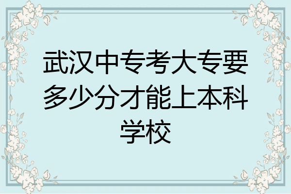 武汉中专考大专要多少分才能上本科学校