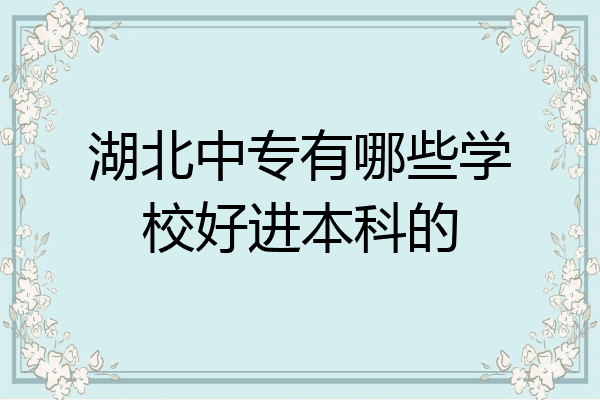 湖北中专有哪些学校好进本科的