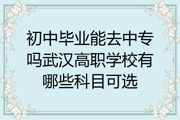 初中毕业能去中专吗武汉高职学校有哪些科目可选
