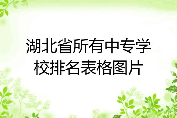 湖北省所有中专学校排名表格图片
