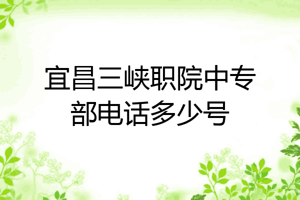 宜昌三峡职院中专部电话多少号