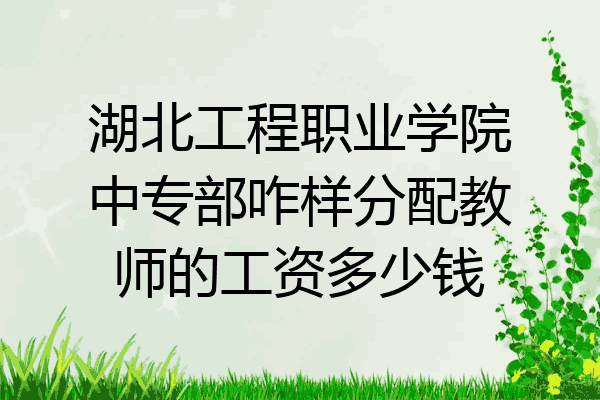 湖北工程职业学院中专部咋样分配教师的工资多少钱