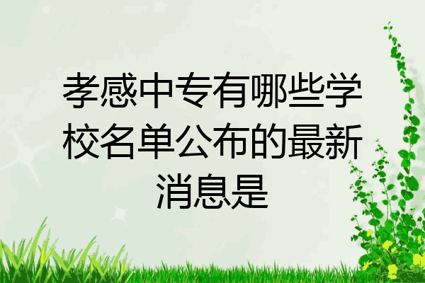 孝感中专有哪些学校名单公布的最新消息是