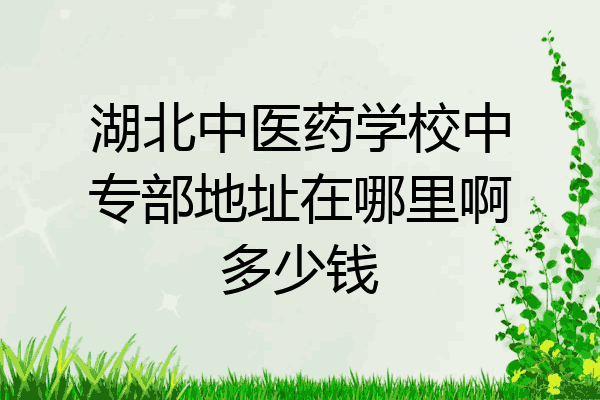 湖北中医药学校中专部地址在哪里啊多少钱