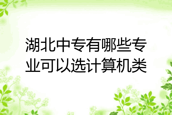 湖北中专有哪些专业可以选计算机类