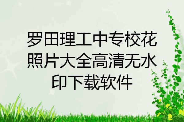 罗田理工中专校花照片大全高清无水印下载软件