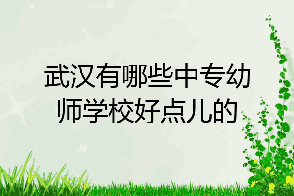 武汉有哪些中专幼师学校好点儿的