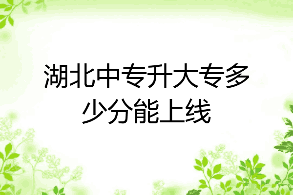 湖北中专升大专多少分能上线