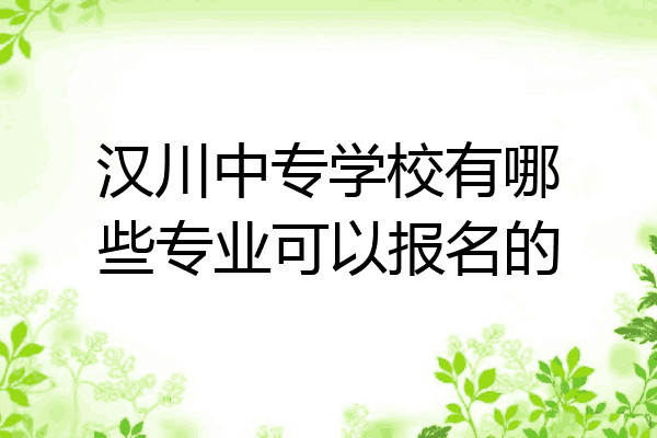 汉川中专学校有哪些专业可以报名的