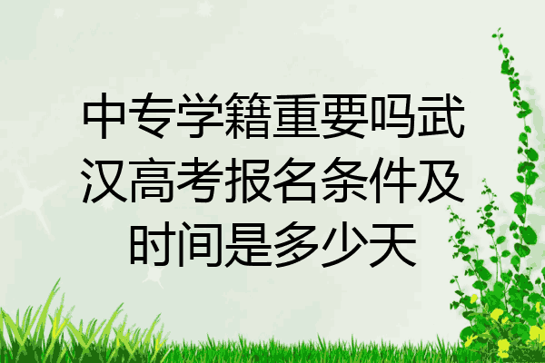 中专学籍重要吗武汉高考报名条件及时间是多少天