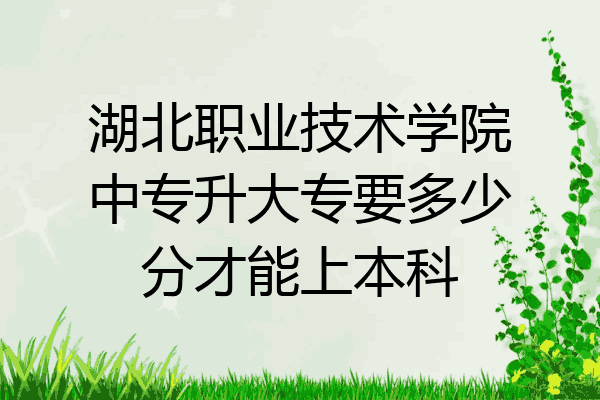 湖北职业技术学院中专升大专要多少分才能上本科