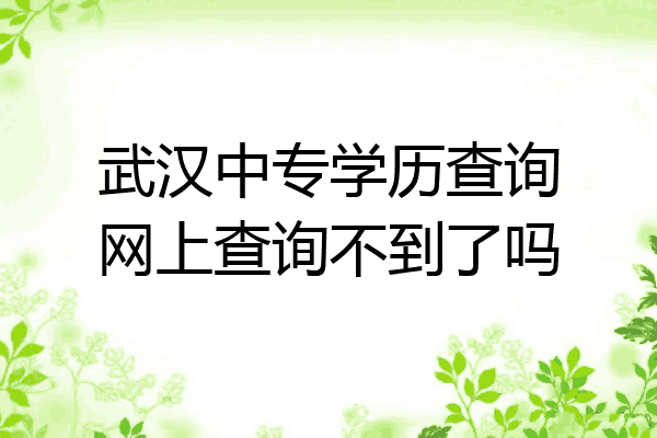 武汉中专学历查询网上查询不到了吗
