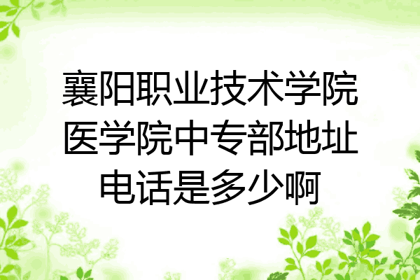 襄阳职业技术学院医学院中专部地址电话是多少啊