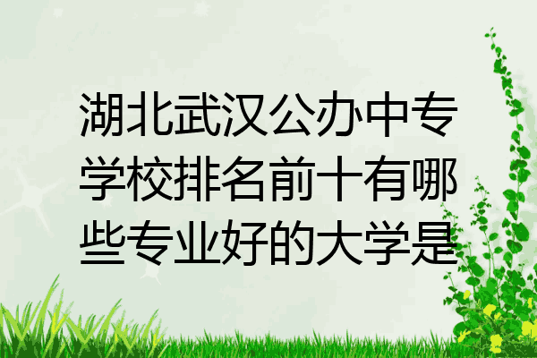湖北武汉公办中专学校排名前十有哪些专业好的大学是