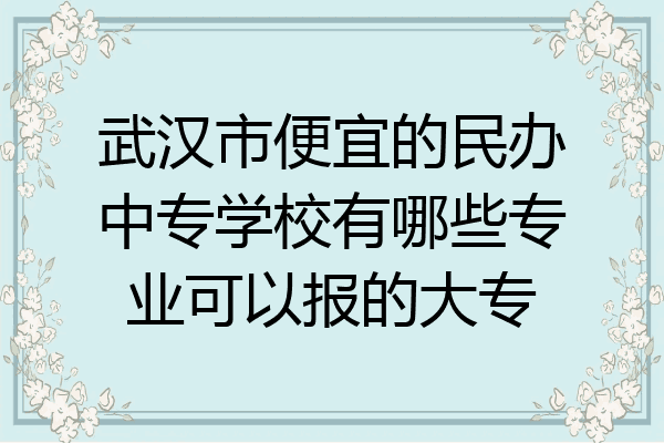 武汉市便宜的民办中专学校有哪些专业可以报的大专