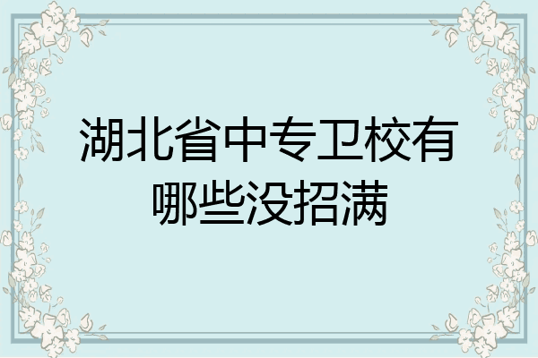 湖北省中专卫校有哪些没招满