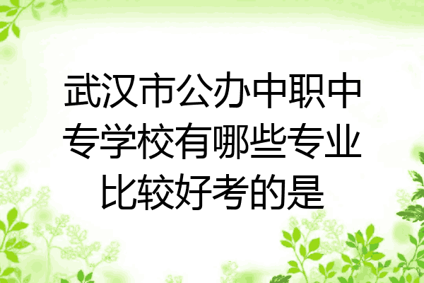 武汉市公办中职中专学校有哪些专业比较好考的是