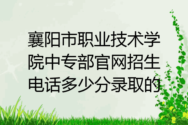 襄阳市职业技术学院中专部官网招生电话多少分录取的