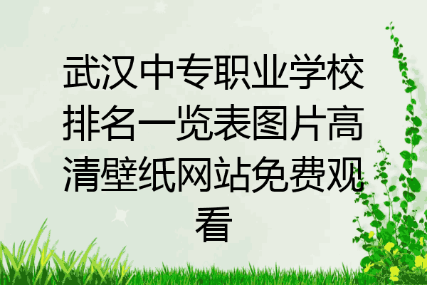武汉中专职业学校排名一览表图片高清壁纸网站免费观看