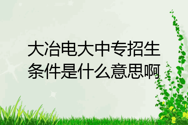 大冶电大中专招生条件是什么意思啊